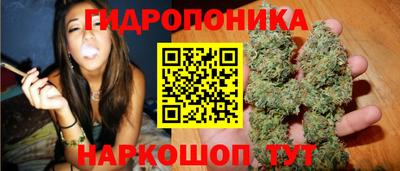 spice Тула